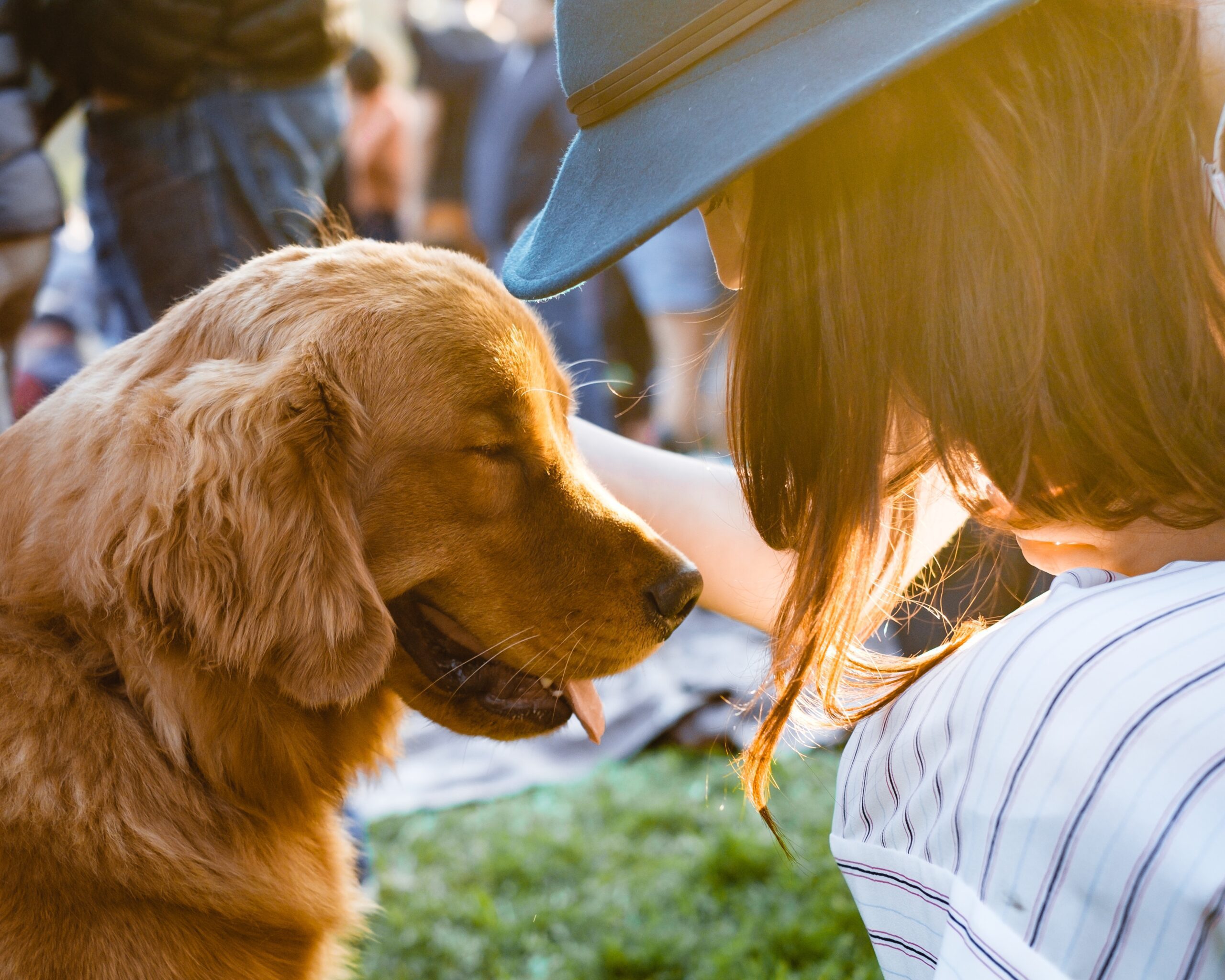 Woman in a blue hat lovingly petting a golden retriever outdoors on a sunny day.