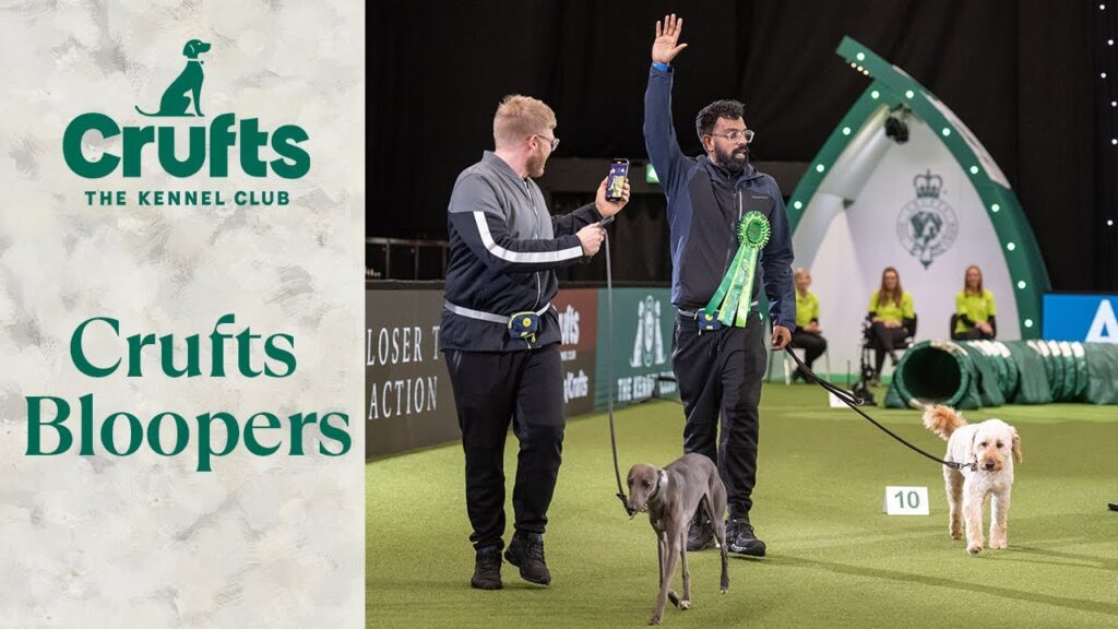 Two men stand on a green indoor field with a small dog. One man holds a leash, and the other, wearing a large rosette, raises his hand while holding another dog's leash. The scene is part of a dog show titled "Crufts Bloopers.