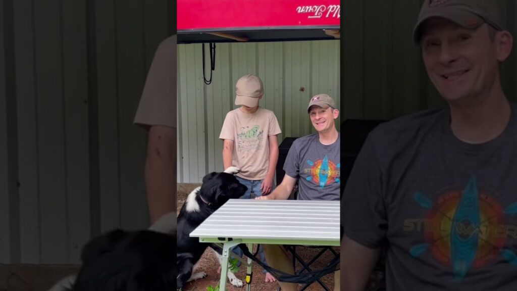 A person and a child, both wearing caps, sit at a table under a red canopy. A black and white dog stands nearby, looking at them. The adult wears a shirt with a colorful design. There is another dog partially visible in the foreground.