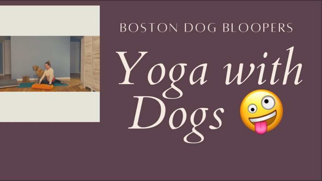 A person doing yoga on a mat indoors with a playful dog nearby. The text reads "Boston Dog Bloopers: Yoga with Dogs" alongside a playful emoji.