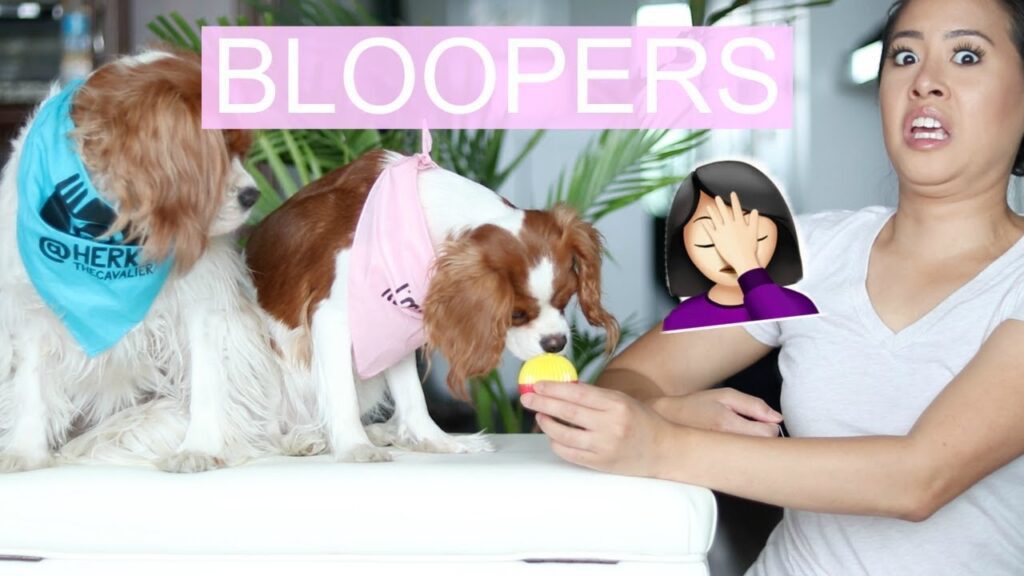 A woman with an amused expression sits beside two dogs wearing bandanas, one blue and one pink, as they explore a small yellow object. The word "BLOOPERS" and a facepalm emoji are overlaid on the image.