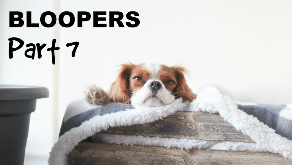 A small dog with floppy ears rests its head on a cozy wooden bed, surrounded by a soft blanket. The text "Bloopers Part 7" is displayed above.