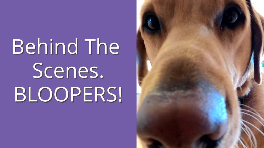 Close-up of a dog's snout with wide eyes, taking up the right half of the image. The left half features white text on a purple background saying, "Behind The Scenes. BLOOPERS!.