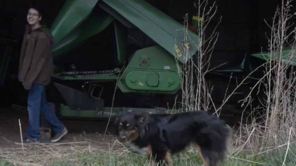 A person wearing a brown jacket is walking near agricultural machinery in a barn. In the foreground, a black and brown dog is standing on grass. Tall dry grass stalks are visible around the scene.