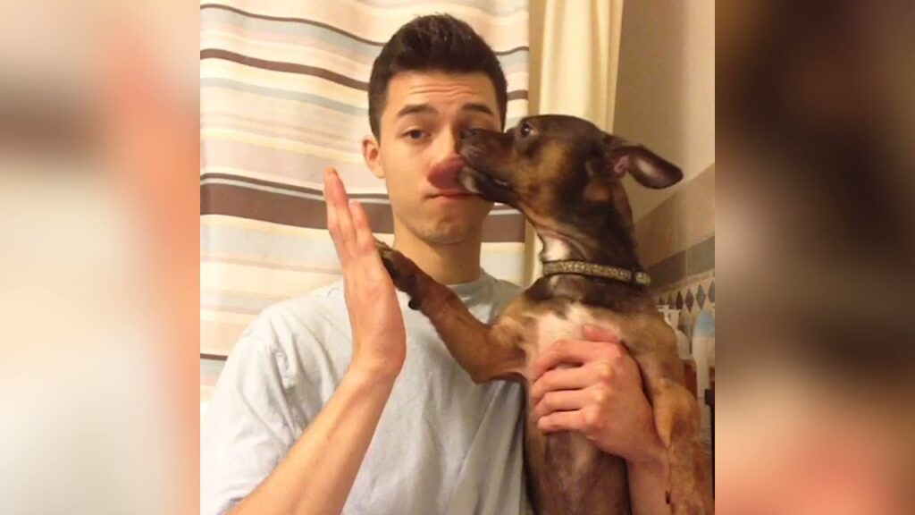 A person holds a small brown and black dog in one arm while the dog playfully licks their nose. The person is giving a playful side-eye glance and raising one hand in mock protest. They are standing in a room with a striped curtain behind them.