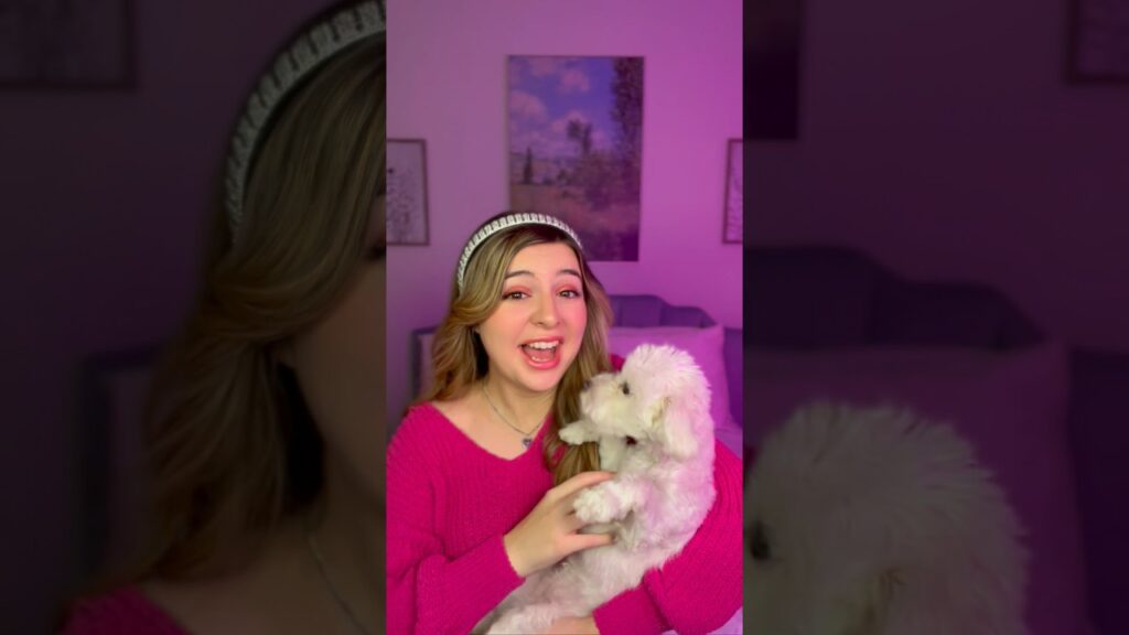 A woman in a pink top and headband smiles while holding a fluffy white dog. They are indoors with a pink-lit background featuring framed art on the walls.