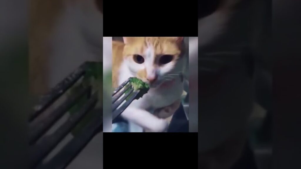 A cat with orange and white fur is biting a fork with a small amount of green food on it. The background is blurred, focusing attention on the cat's curious expression.