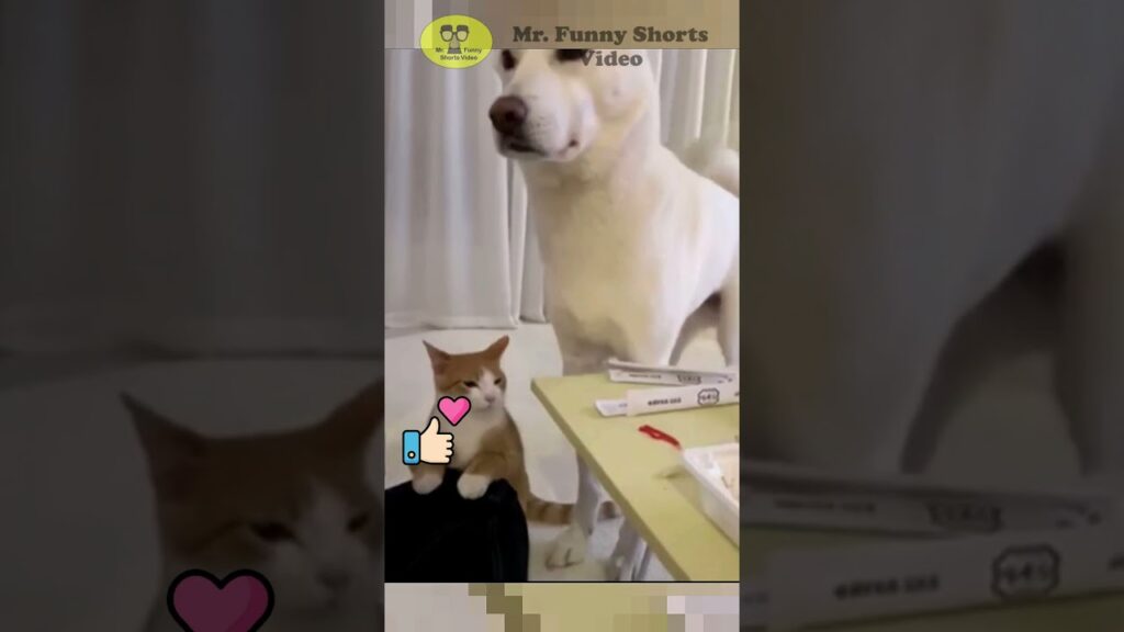 A white dog and an orange cat are sitting near a table with various items on it. The dog is standing, while the cat is sitting upright. The scene has a playful tone with digital stickers of hearts and thumbs-up icons.