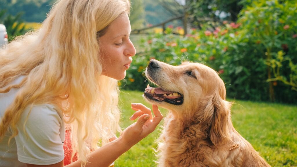 Why do dogs look like their owners?