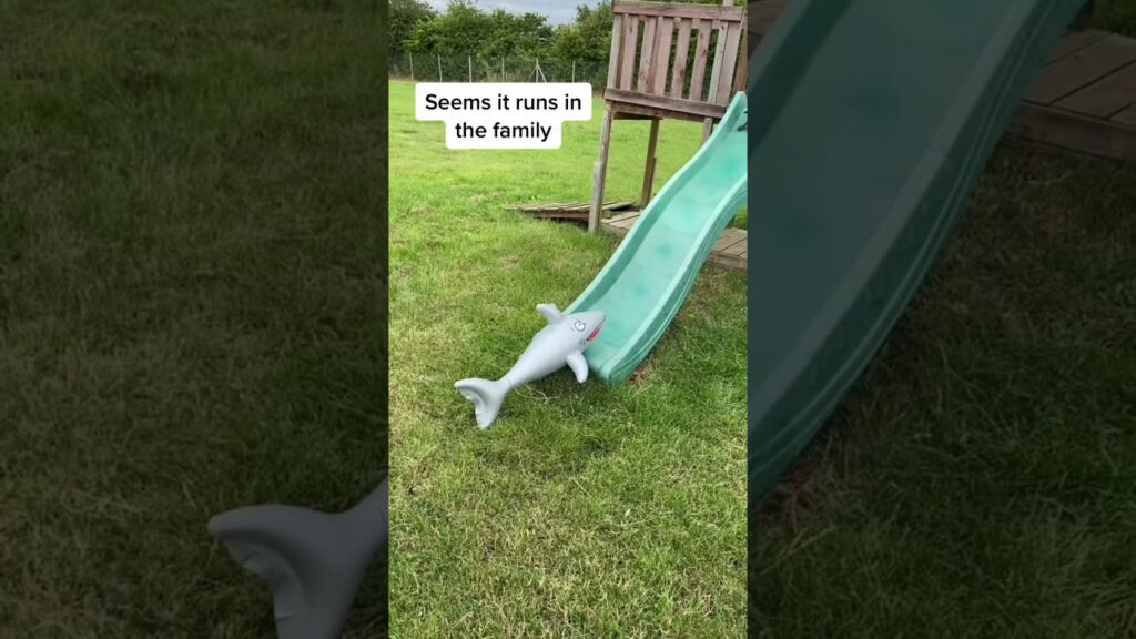 A gray toy shark rests at the bottom of a green slide in a grassy yard. Text above reads, "Seems it runs in the family.