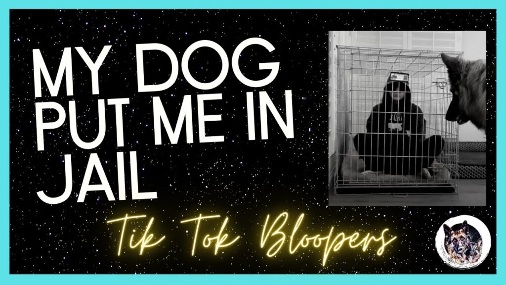 Text reads, "My Dog Put Me in Jail: TikTok Bloopers." Image shows a person sitting inside a large dog crate, with a dog in the foreground looking towards the crate. The background is a starry pattern with a teal border.