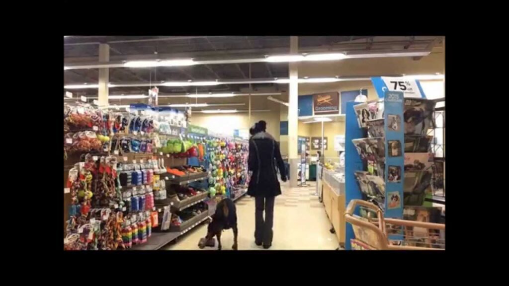 A person walks through a pet store aisle, holding the leash of a large brown dog. Shelves on the left display colorful pet accessories and toys. A shopping cart is partially visible on the right.