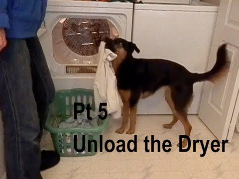 A black and brown dog is standing in a laundry room, holding a piece of clothing from the dryer in its mouth. A person stands nearby. Text on the image reads "Pt 5 Unload the Dryer." A laundry basket is on the floor.