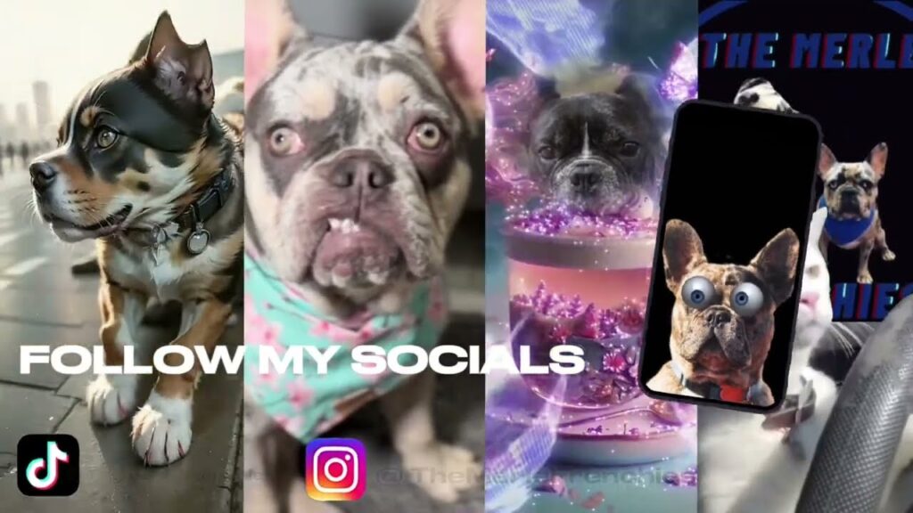 A collage featuring various bulldogs with a digital theme. Includes logos for TikTok and Instagram and the text "FOLLOW MY SOCIALS." One dog appears with a smartphone, and another is presented with a colorful background.