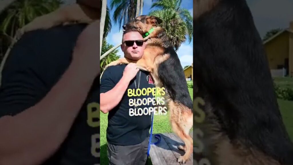 A man wearing sunglasses and a shirt with the text "BLOOPERS BLOOPERS BLOOPERS" stands outside holding a German Shepherd. The dog, on its hind legs, licks his face affectionately. Palm trees and a yellow building are in the background.