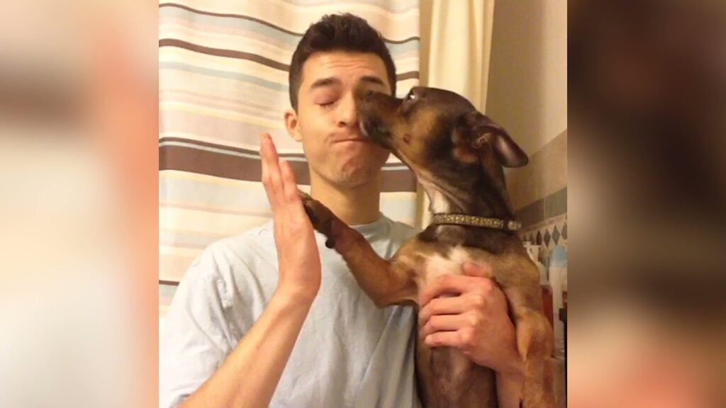 A man playfully grimaces while holding a small dog. The dog affectionately licks his face and places a paw on his cheek. The background shows a shower curtain with stripes.