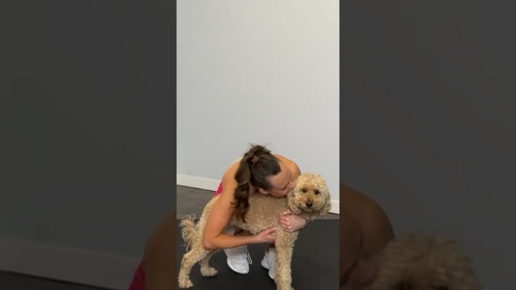 A person in athletic attire hugs a curly-haired dog on a black floor. The person has their hair tied back and is leaning forward affectionately towards the dog. The background features a plain white wall.