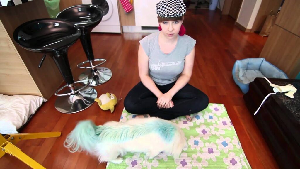 A person with a checkered cap sits on a floral mat in a room with wooden flooring. A small dog with teal fur on its back stands nearby. The room features bar stools, a washing machine, and a pet bed in the background.