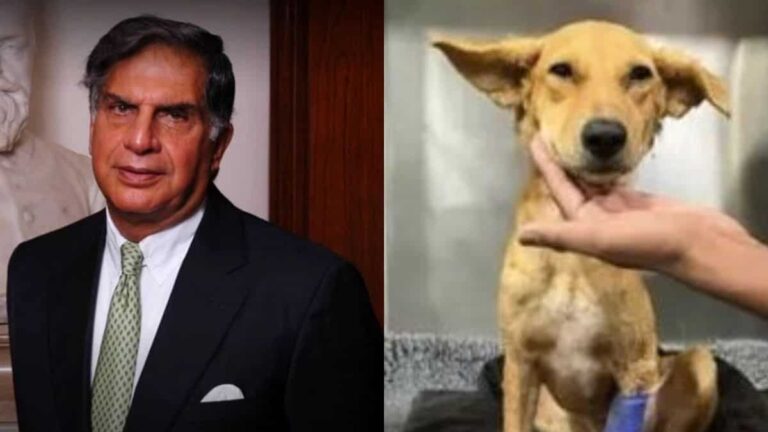 5-star treatment for dogs! When Ratan Tata allowed strays to his famous Mumbai’s Taj Hotel