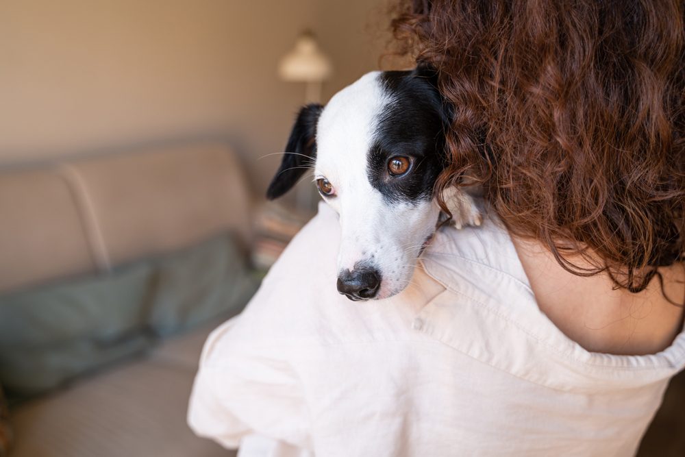 The Real Impact Those Sad Puppy Dog Eyes Have on Their Owners