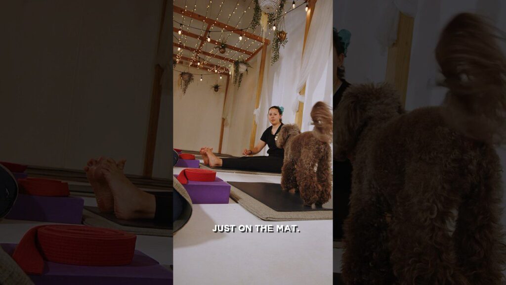 A person sits on a yoga mat in a cozy room decorated with hanging lights and plants. Yoga props like blocks and straps are scattered around. A dog stands nearby, its back to the camera. Text on image: "JUST ON THE MAT.