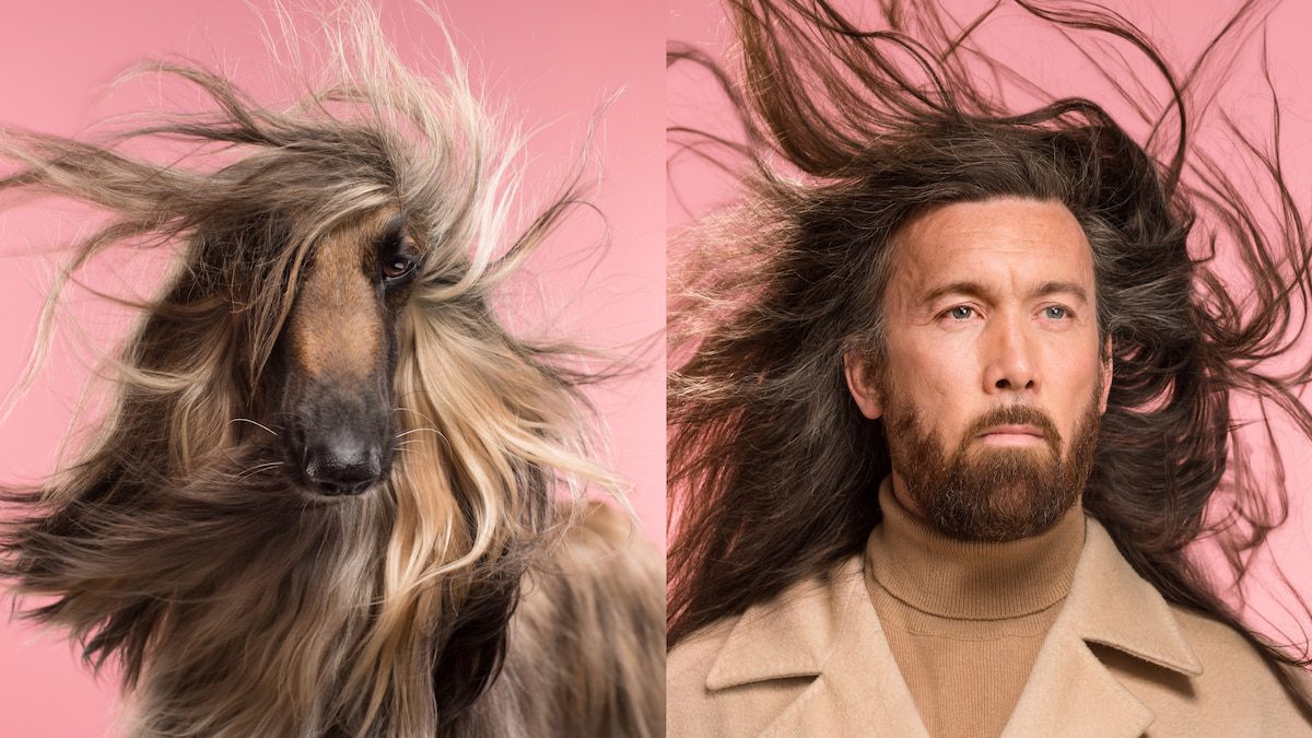 Dogs and their owners really do look alike—here’s why