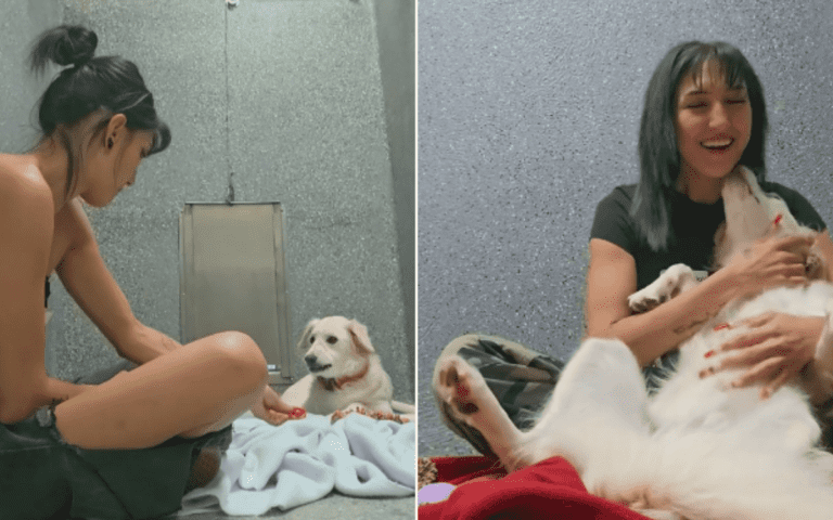 Shelter Dog Returned for Biting Transformed by Volunteer’s Love: ‘Crying’