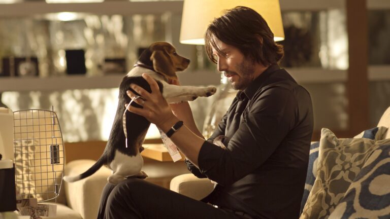 ‘John Wick’ Producers Recall Keanu Reeves “Stood Up” For Puppy Death Scene