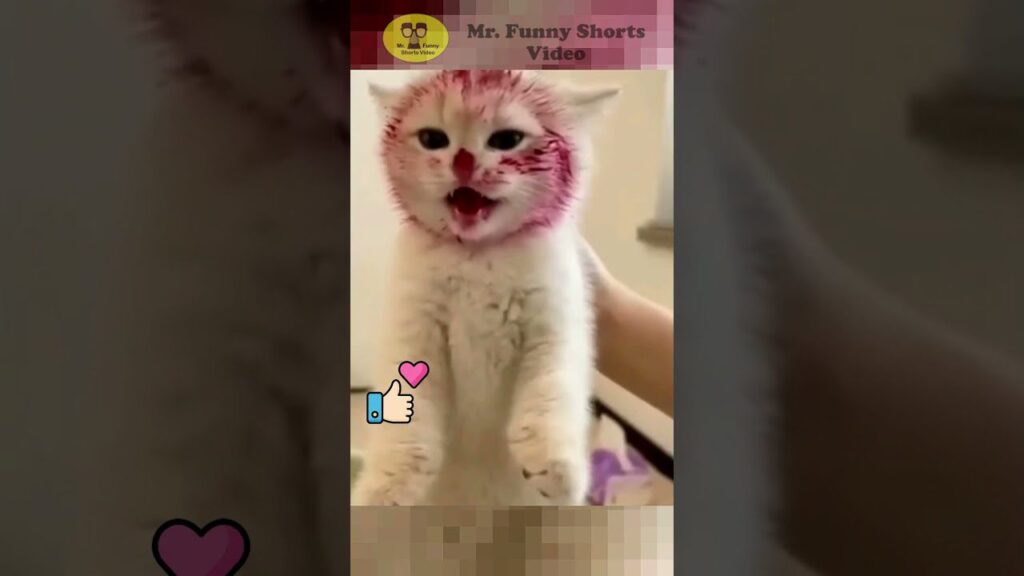 A white kitten is held up, appearing to have red staining around its face, resembling lipstick or berry juice. The image includes a graphic of a thumbs-up and a heart symbol.