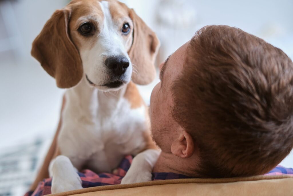 Dog Who Can’t Stop ‘Gazing’ at Owner’s Boyfriend Has Internet in Stitches