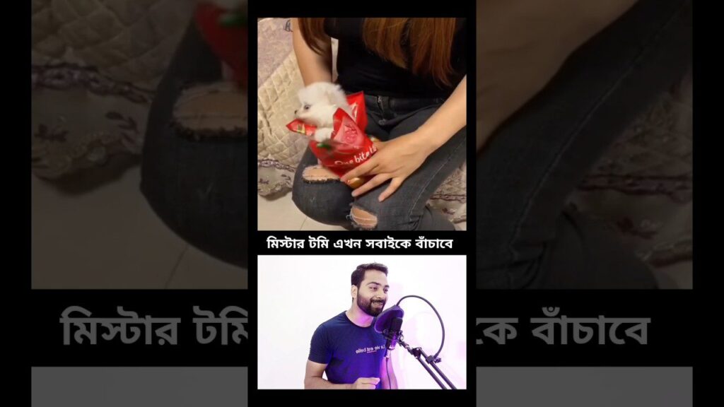 A small white dog wrapped in a red cloth sits on a person's lap. Below, a person wearing a purple shirt is speaking into a microphone. Bengali text is on the image.