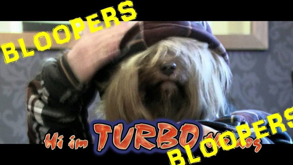 A dog with long, shaggy fur wears a hooded jacket. The text "BLOOPERS" appears in yellow across the image, and the phrase "Hi I'm TURBO" is written in red and yellow at the bottom.